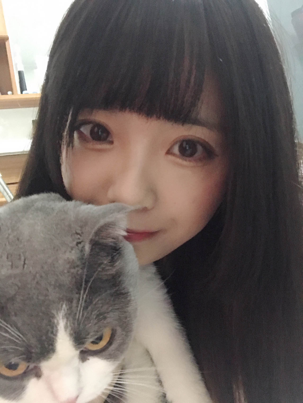 小野妹子w – 全套48期,大小10.4G