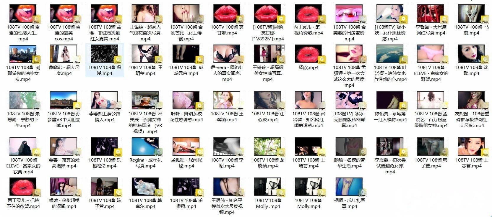 [合集]《108TV酱》视频作品144套120.89G