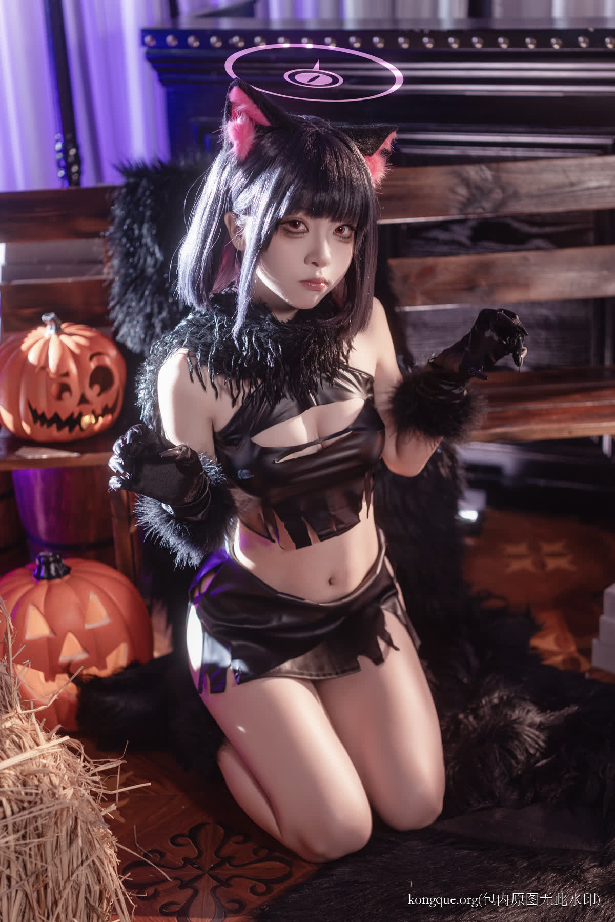 矢量鱼 – 全套16期[5.2G-2025.9]